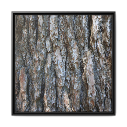 Bark Whispers - Unique Stretched Canvas Wall Art - Art By Earth