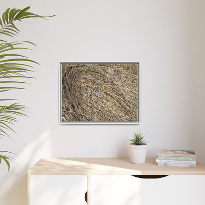 Tangled Grass Symphony - Unique Stretched Canvas Wall Art - Art By Earth
