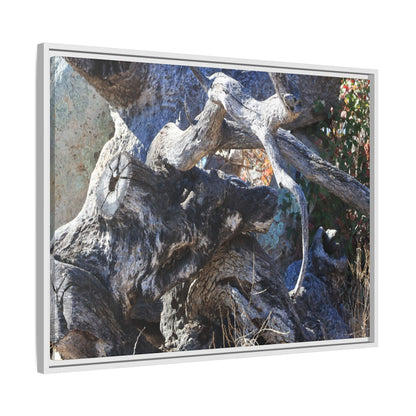 Resilient Roots - Unique Stretched Canvas Wall Art - Art By Earth