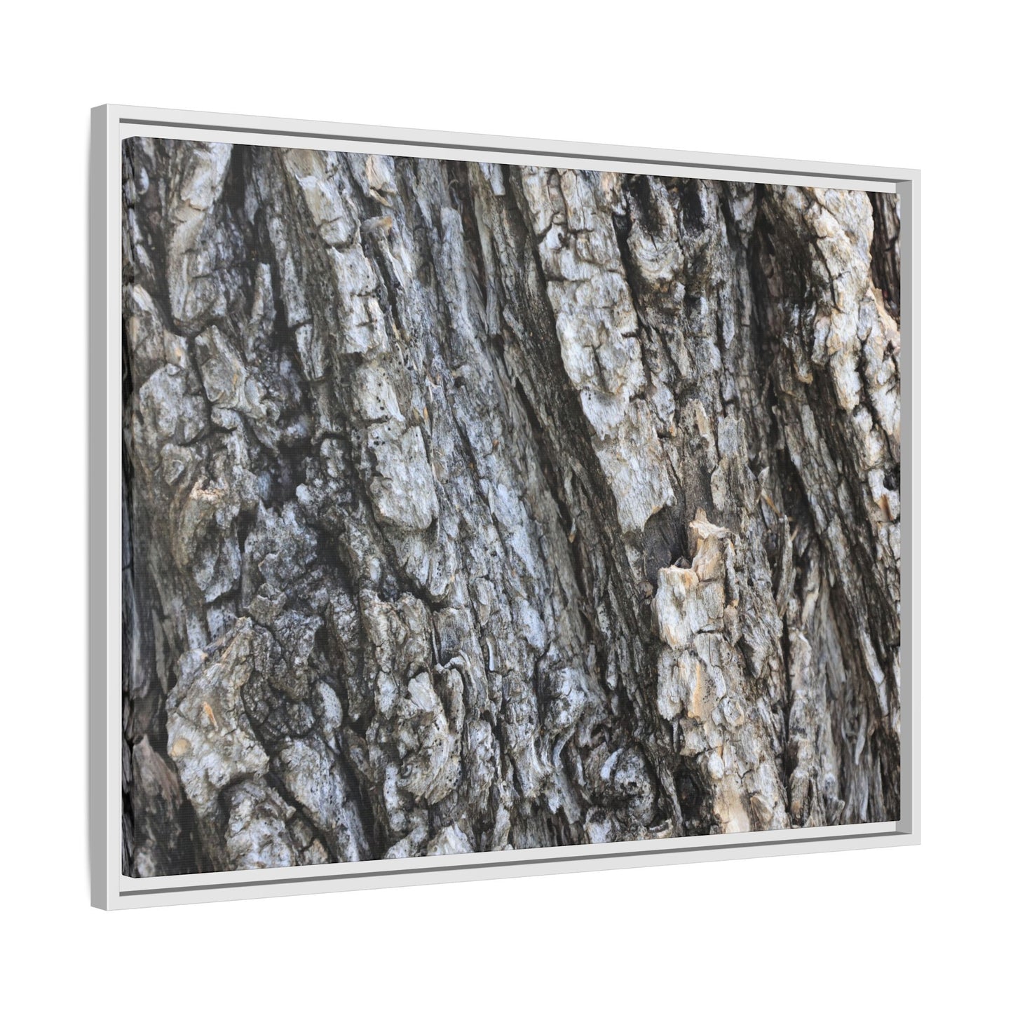 Twisted Textures - Unique Stretched Canvas Wall Art - Art By Earth