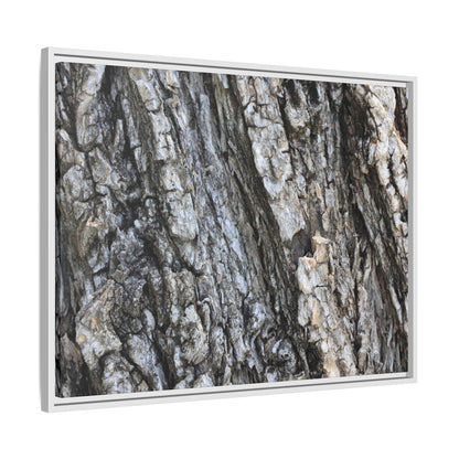 Twisted Textures - Unique Stretched Canvas Wall Art - Art By Earth