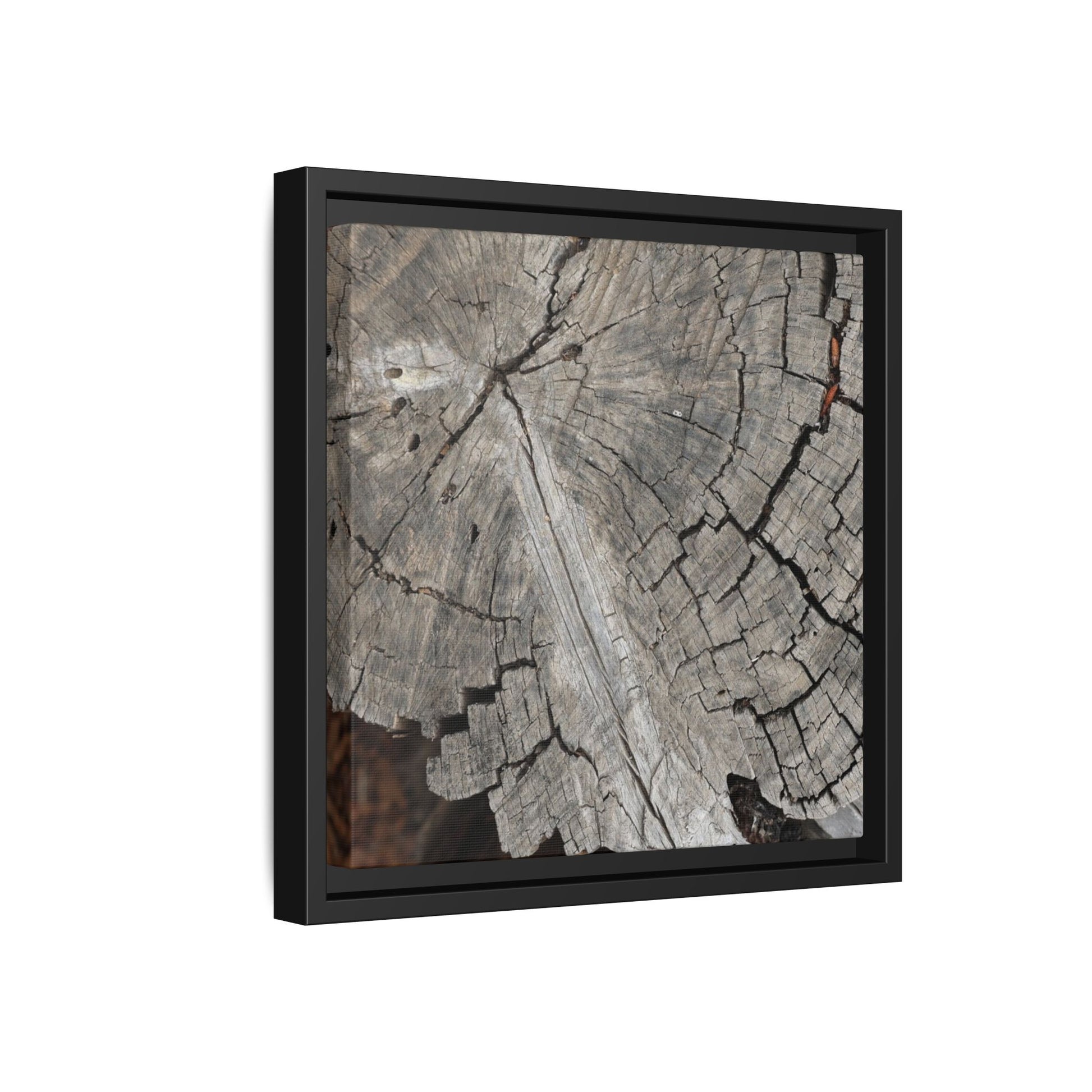 Time's Signature - Unique Stretched Canvas Wall Art - Art By Earth