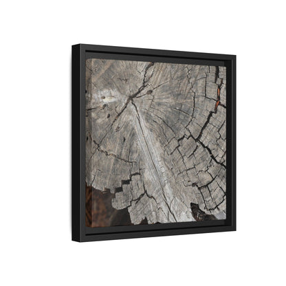 Time's Signature - Unique Stretched Canvas Wall Art - Art By Earth