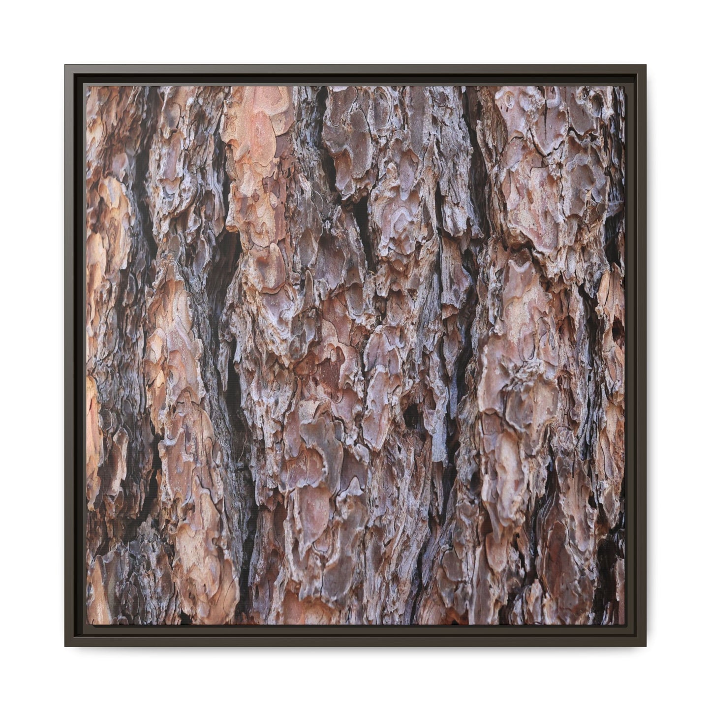 Layered Textures - Unique Stretched Canvas Wall Art - Art By Earth