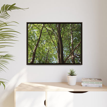 Forest Branches - Unique Stretched Canvas Wall Art