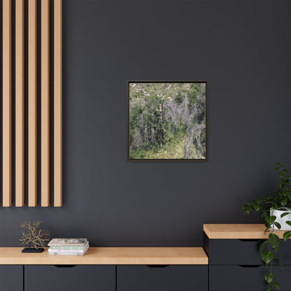 Forest Decline - Unique Stretched Canvas Wall Art