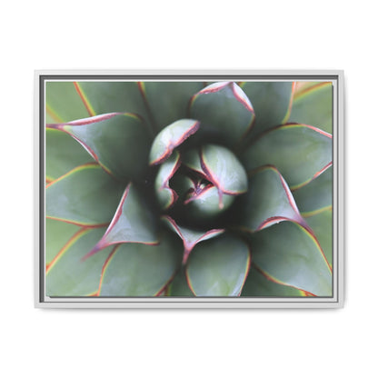 Spiky Elegance - Unique Stretched Canvas Wall Art - Art By Earth