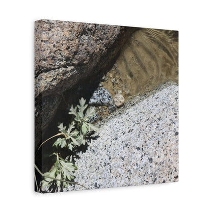 Between Stone and Sand - Unique Frameless Canvas Wall Art - Art By Earth