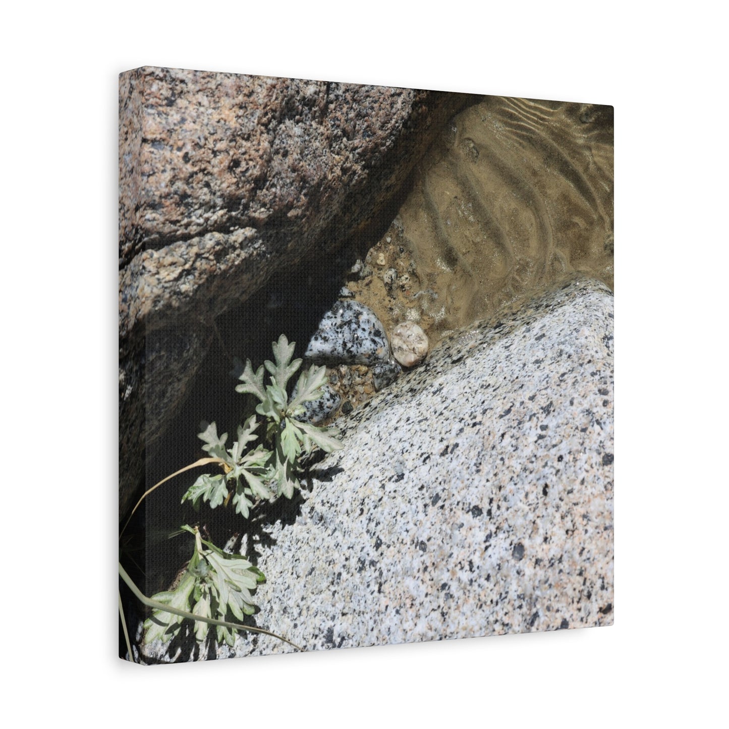 Between Stone and Sand - Unique Frameless Canvas Wall Art - Art By Earth