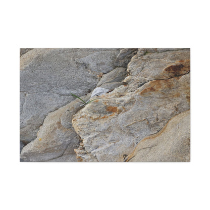 Fractal Earth - Unique Frameless Canvas Wall Art - Art By Earth