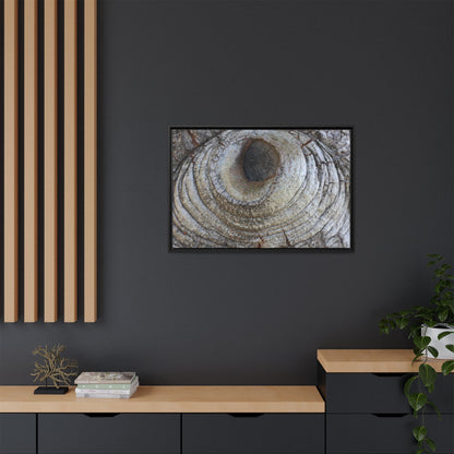 Echoes of Time - Unique Stretched Canvas Wall Art - Art By Earth