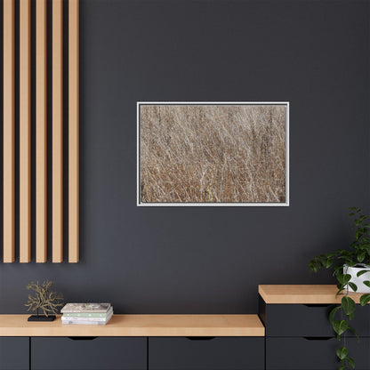 Dry Grass Symphony - Unique Stretched Canvas Wall Art - Art By Earth