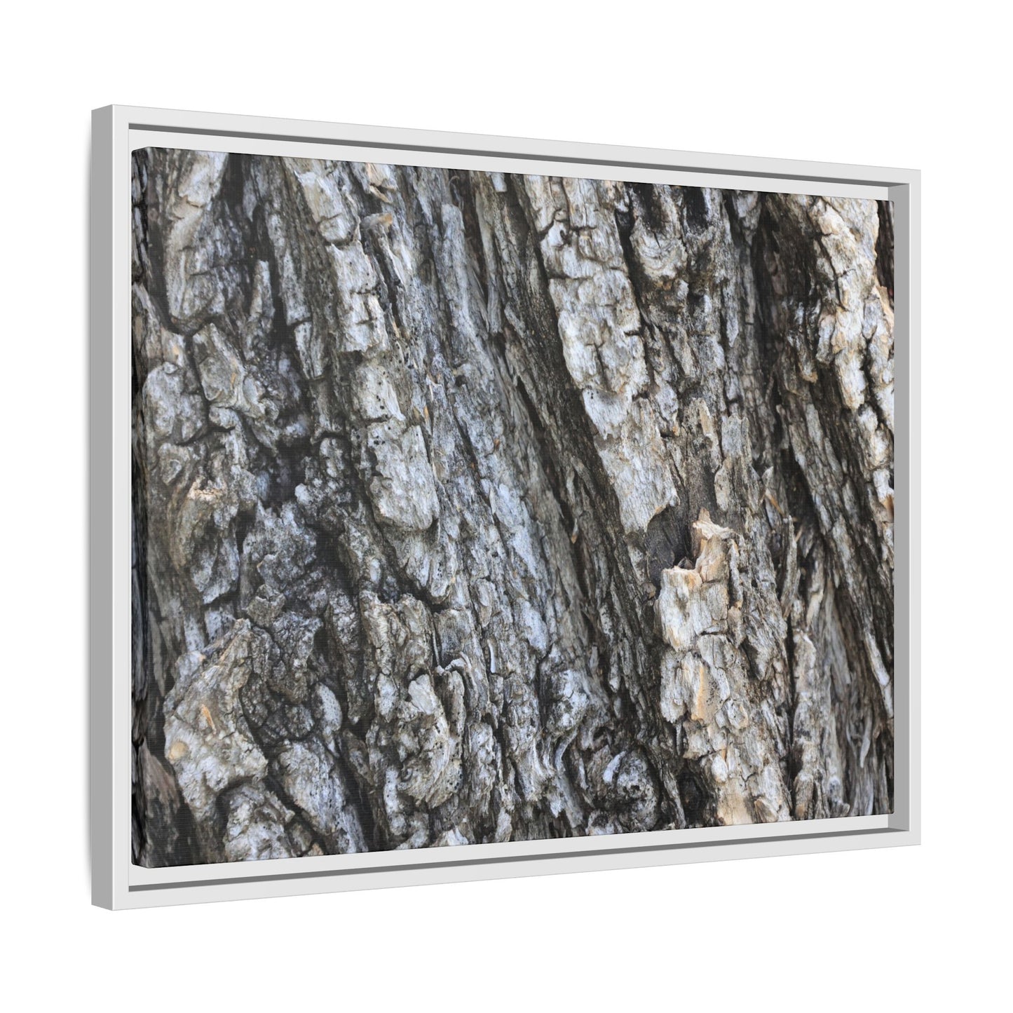 Twisted Textures - Unique Stretched Canvas Wall Art - Art By Earth