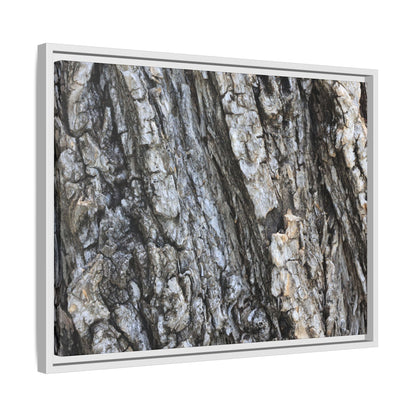 Twisted Textures - Unique Stretched Canvas Wall Art - Art By Earth