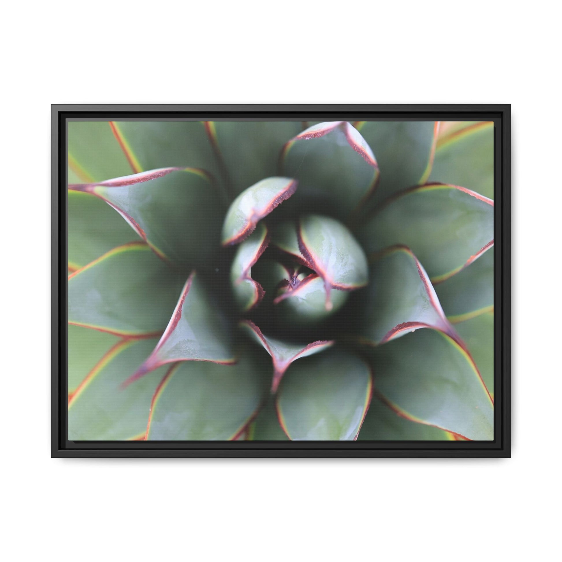 Spiky Elegance - Unique Stretched Canvas Wall Art - Art By Earth