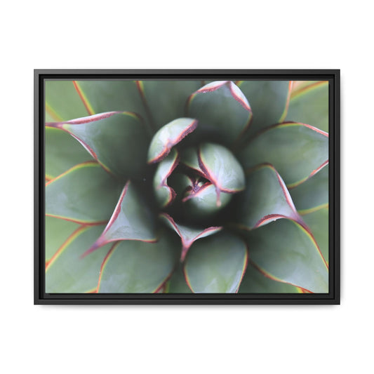 Spiky Elegance - Unique Stretched Canvas Wall Art - Art By Earth