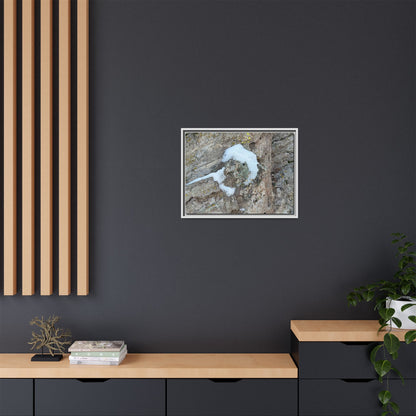 Lichen's Embrace - Unique Stretched Canvas Wall Art