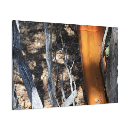 Burnt Forest Remnants - Unique Frameless Canvas Wall Art