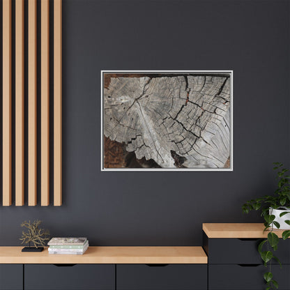 Time's Signature - Unique Stretched Canvas Wall Art - Art By Earth