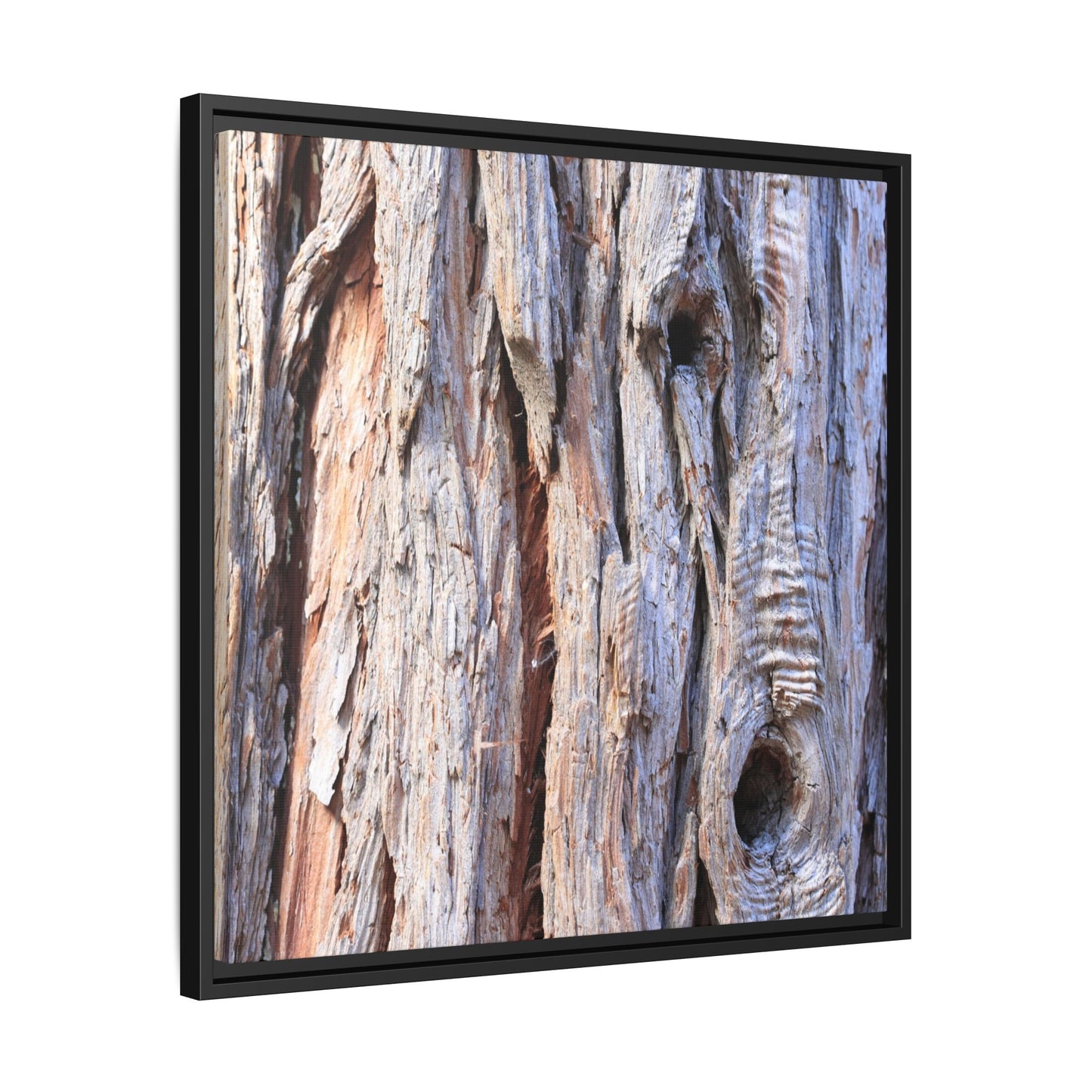 Nature's Grain - Unique Stretched Canvas Wall Art - Art By Earth