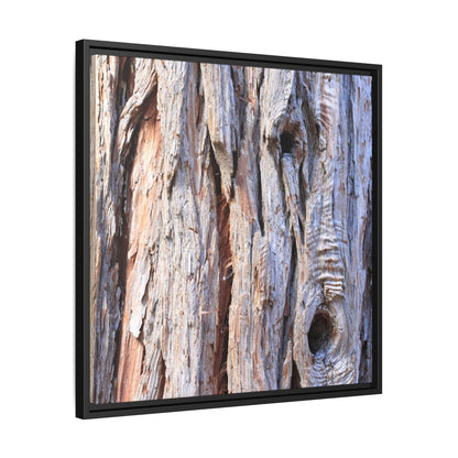Nature's Grain - Unique Stretched Canvas Wall Art - Art By Earth