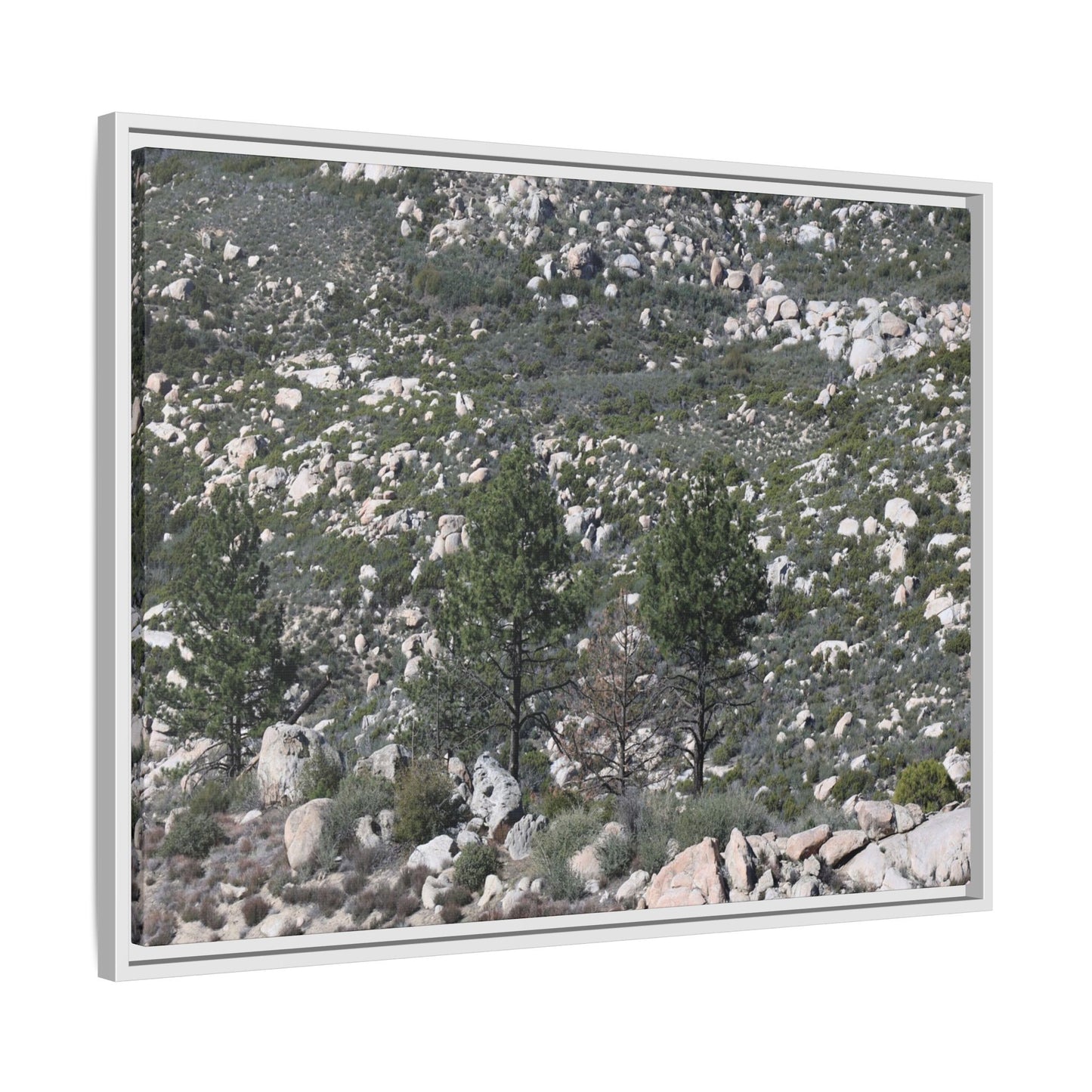 Rocky Hillside with Pine Trees - Unique Stretched Canvas Wall Art - Art By Earth