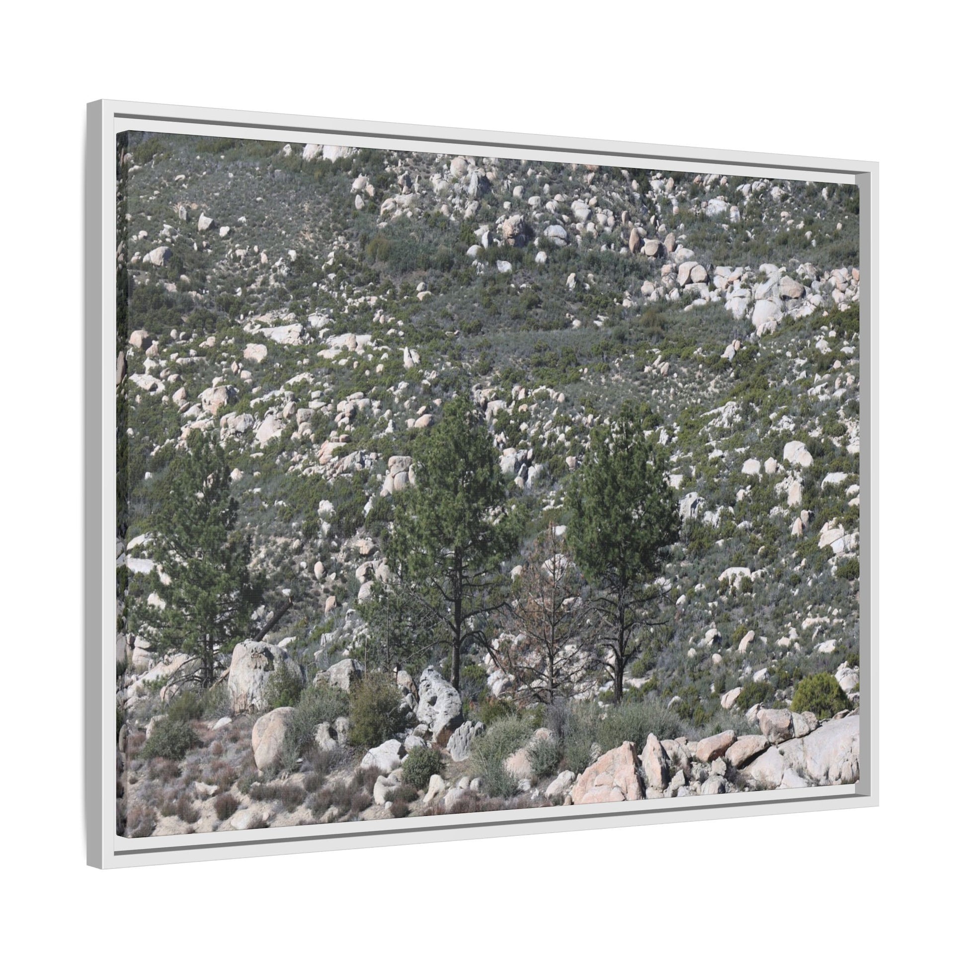 Rocky Hillside with Pine Trees - Unique Stretched Canvas Wall Art - Art By Earth