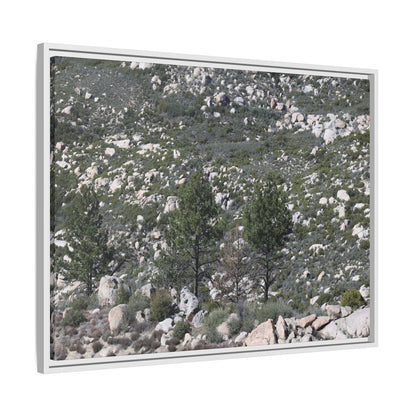 Rocky Hillside with Pine Trees - Unique Stretched Canvas Wall Art - Art By Earth