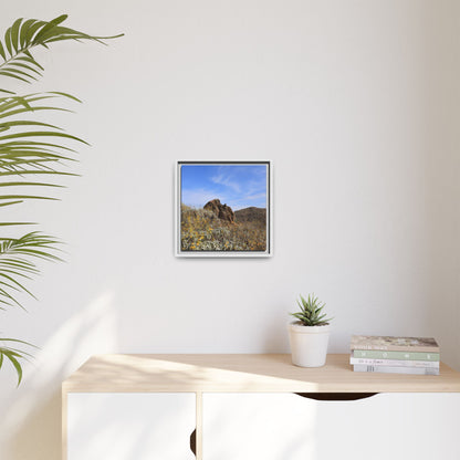 Golden Flowers in Arid Landscape - Unique Stretched Canvas Wall Art - Art By Earth