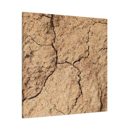 Cracked Earth's Lament - Unique Frameless Canvas Wall Art - Art By Earth