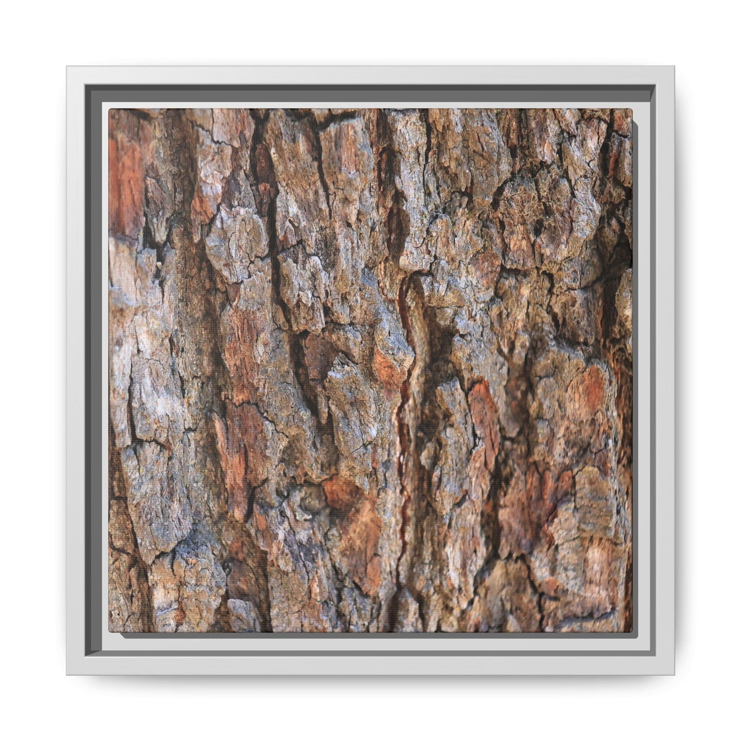 Tree's Timeworn Tale - Unique Stretched Canvas Wall Art - Art By Earth