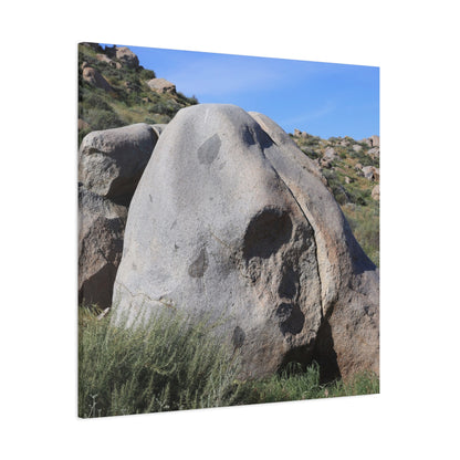 Skull Rock - Unique Frameless Canvas Wall Art - Art By Earth