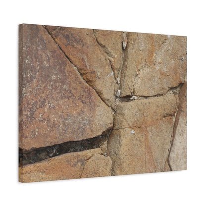 Cracked Earth's Canvas - Unique Frameless Canvas Wall Art - Art By Earth