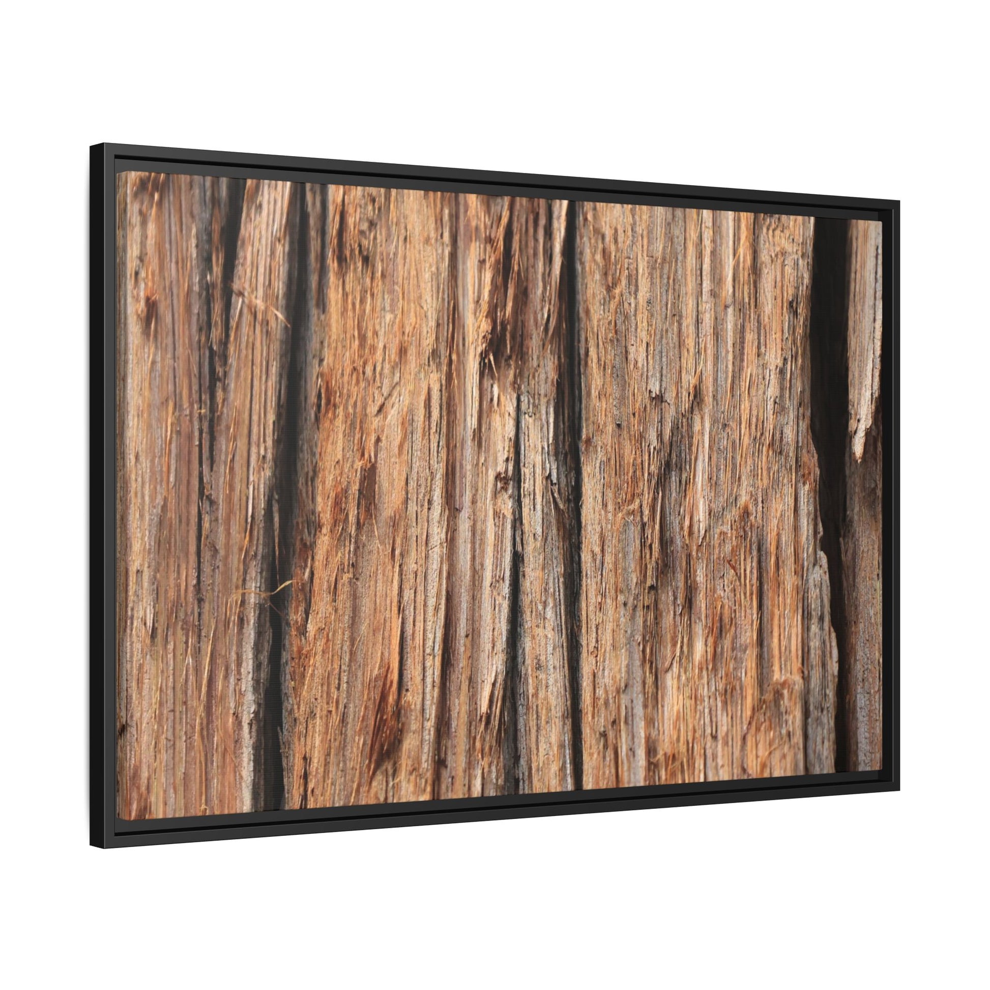 Timber Echoes - Unique Stretched Canvas Wall Art - Art By Earth