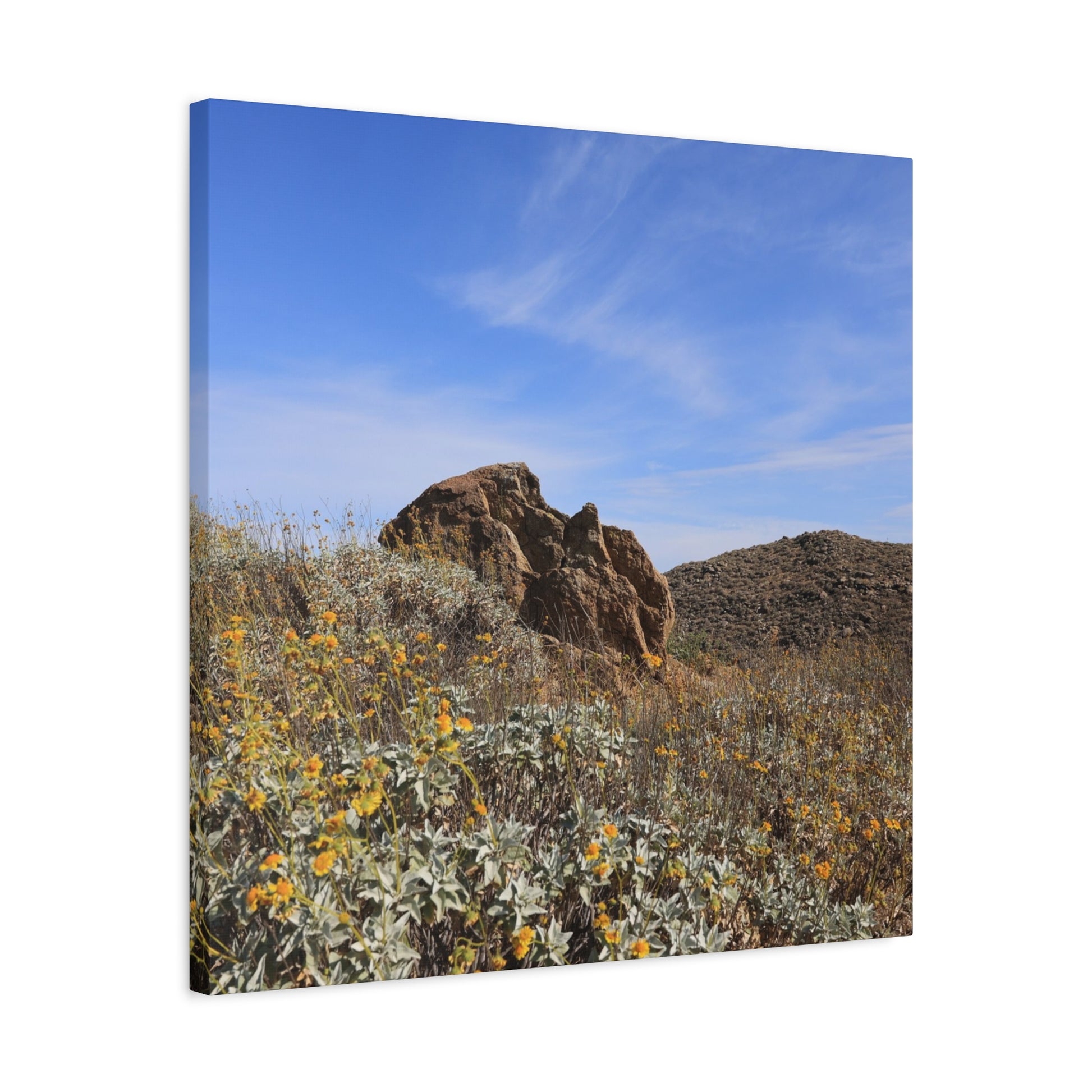 Desert Bloom - Unique Frameless Canvas Wall Art - Art By Earth