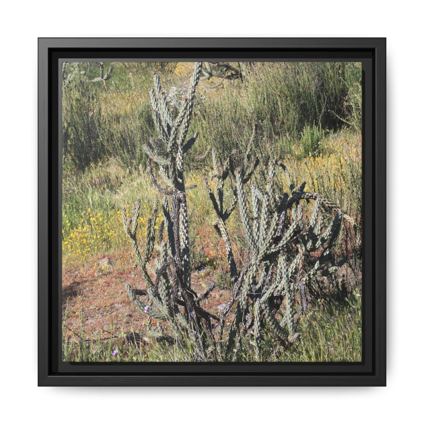 Wildflower Meadow - Unique Stretched Canvas Wall Art - Art By Earth