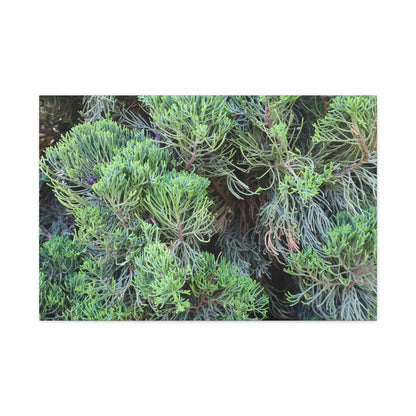 Green Labyrinth - Unique Frameless Canvas Wall Art - Art By Earth