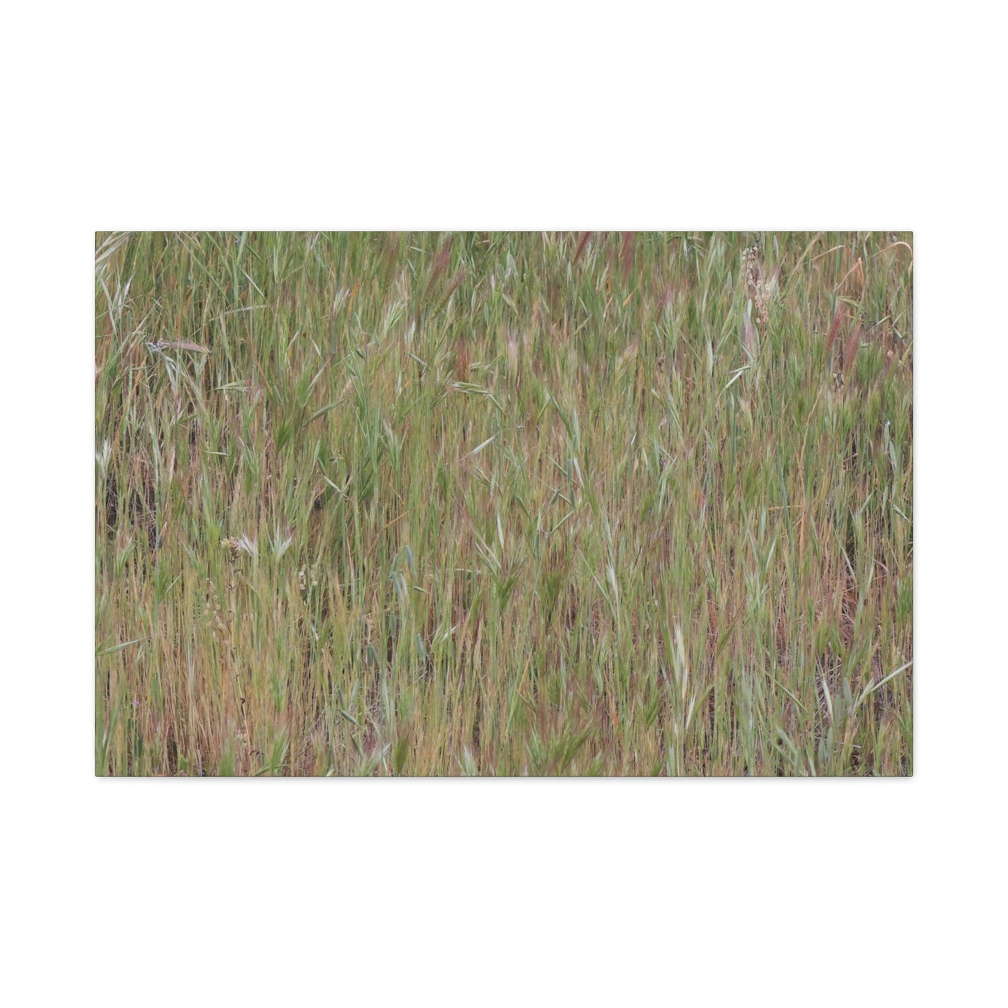 Whispers of the Prairie - Unique Frameless Canvas Wall Art - Art By Earth