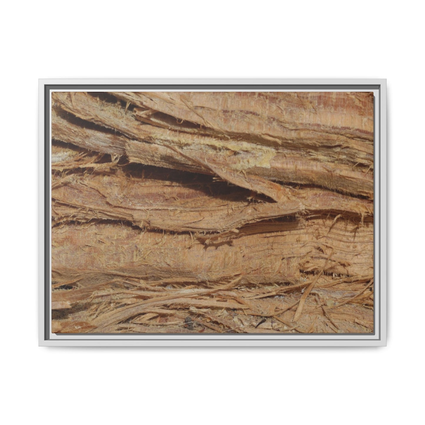Splintered Bark - Unique Stretched Canvas Wall Art - Art By Earth