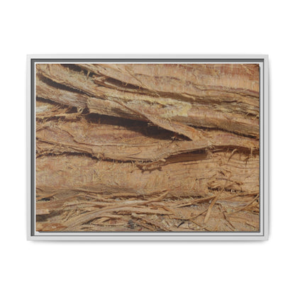 Splintered Bark - Unique Stretched Canvas Wall Art - Art By Earth