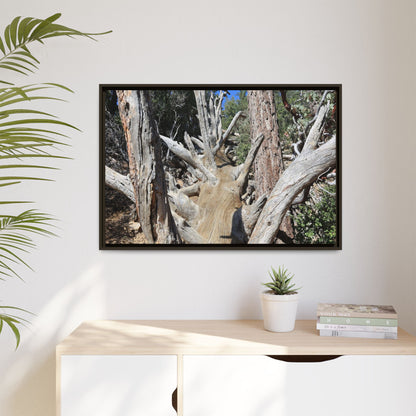Forest Sentinels - Unique Stretched Canvas Wall Art