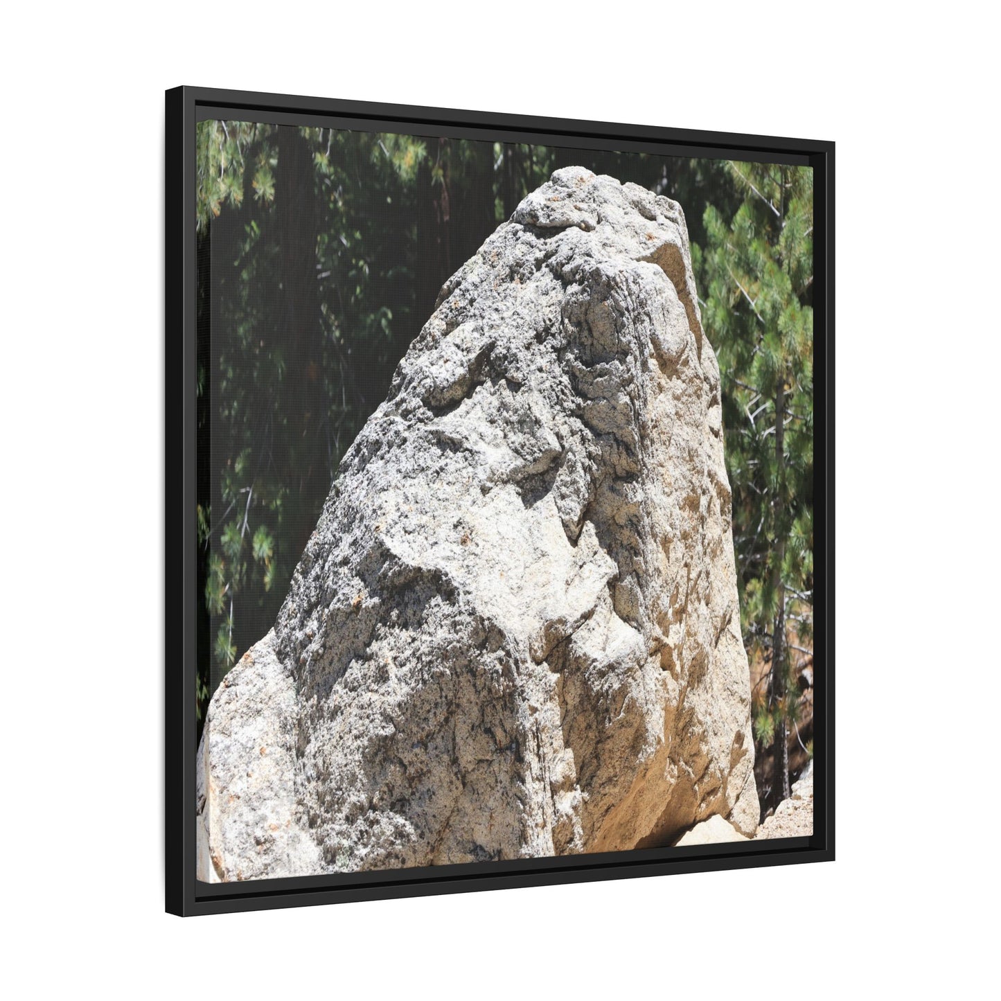 Stone's Silent Whisper - Unique Stretched Canvas Wall Art - Art By Earth
