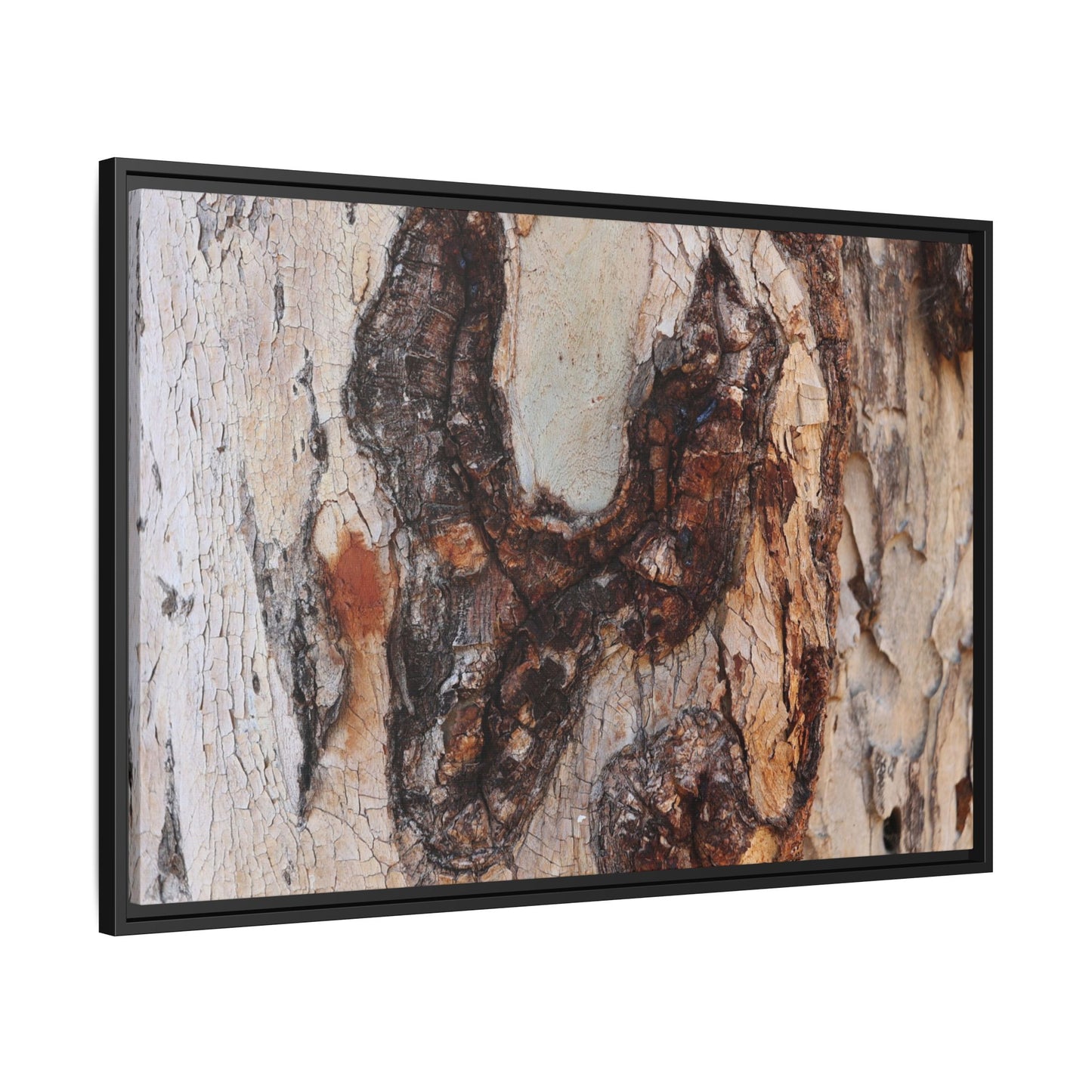 Texture of Time - Unique Stretched Canvas Wall Art - Art By Earth