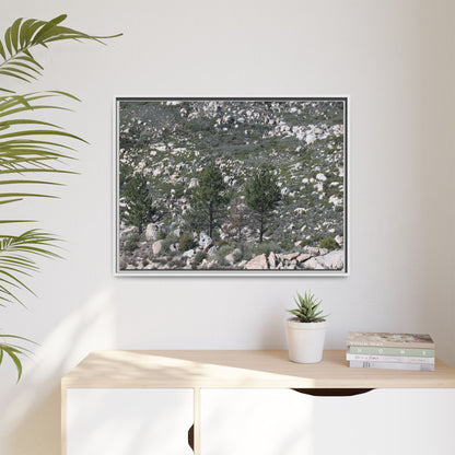 Rocky Hillside with Pine Trees - Unique Stretched Canvas Wall Art - Art By Earth