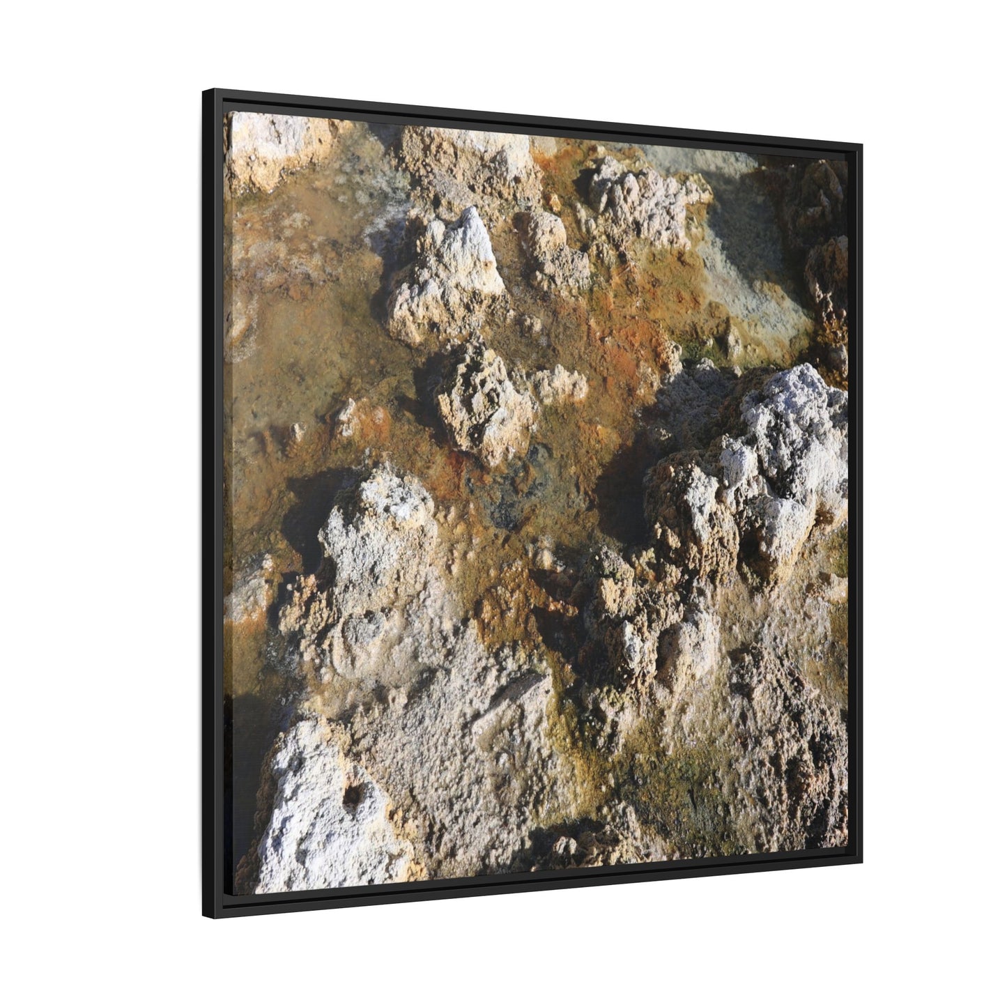Textural Metamorphosis - Unique Stretched Canvas Wall Art
