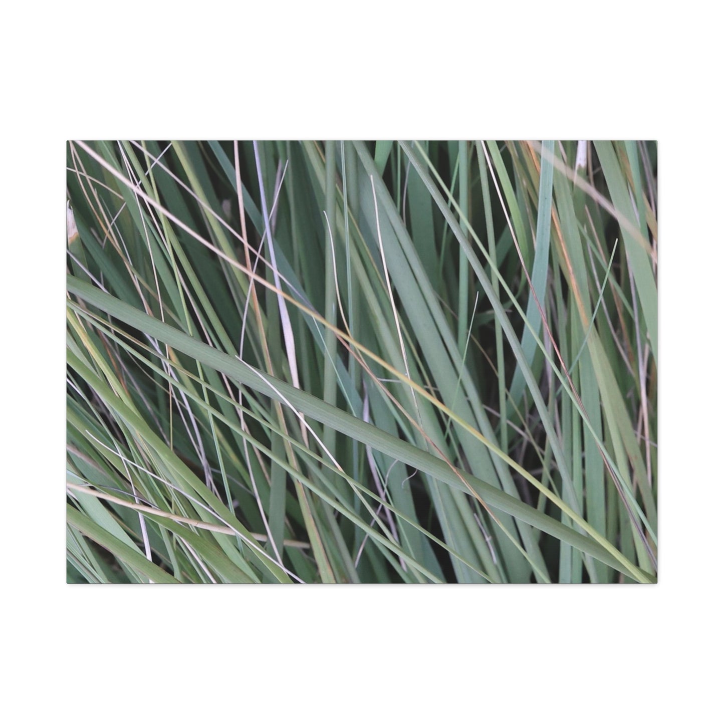 Whispers of Green - Unique Frameless Canvas Wall Art - Art By Earth