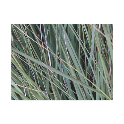 Whispers of Green - Unique Frameless Canvas Wall Art - Art By Earth