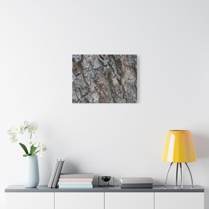 Rugged Canvas - Unique Frameless Canvas Wall Art - Art By Earth