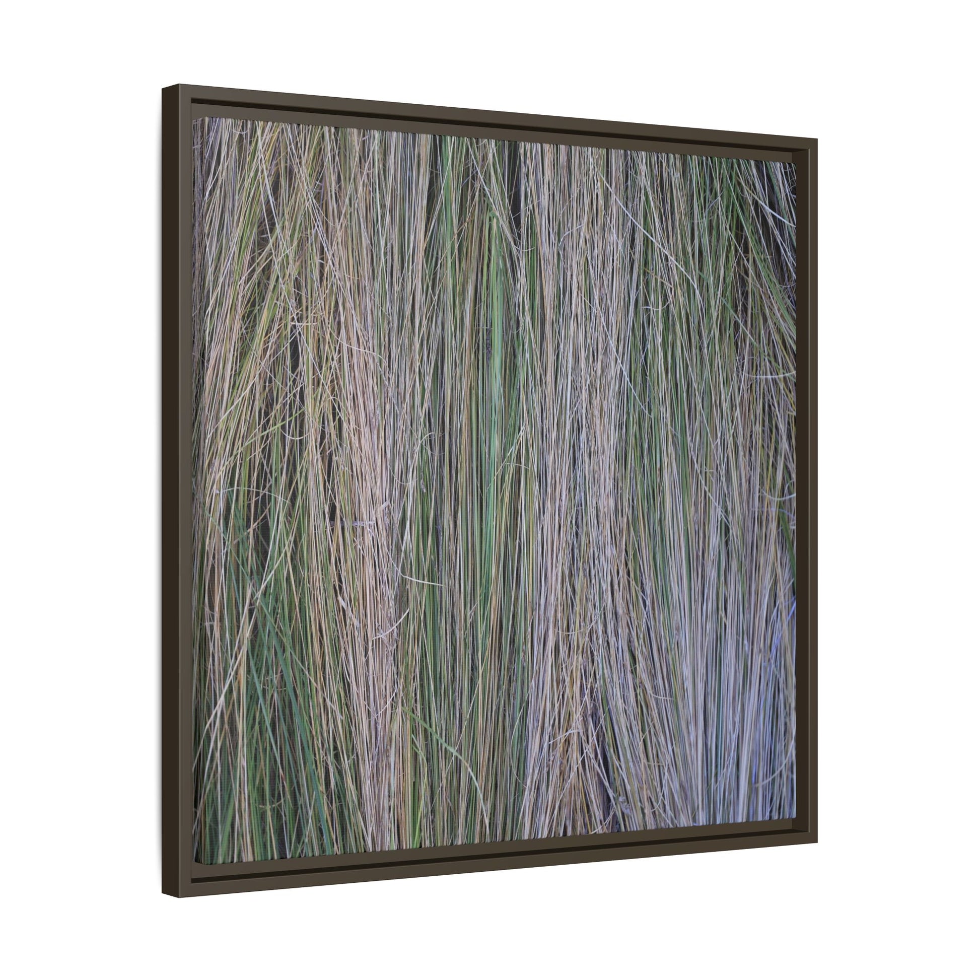 Whispers of Silver Grass - Unique Stretched Canvas Wall Art - Art By Earth