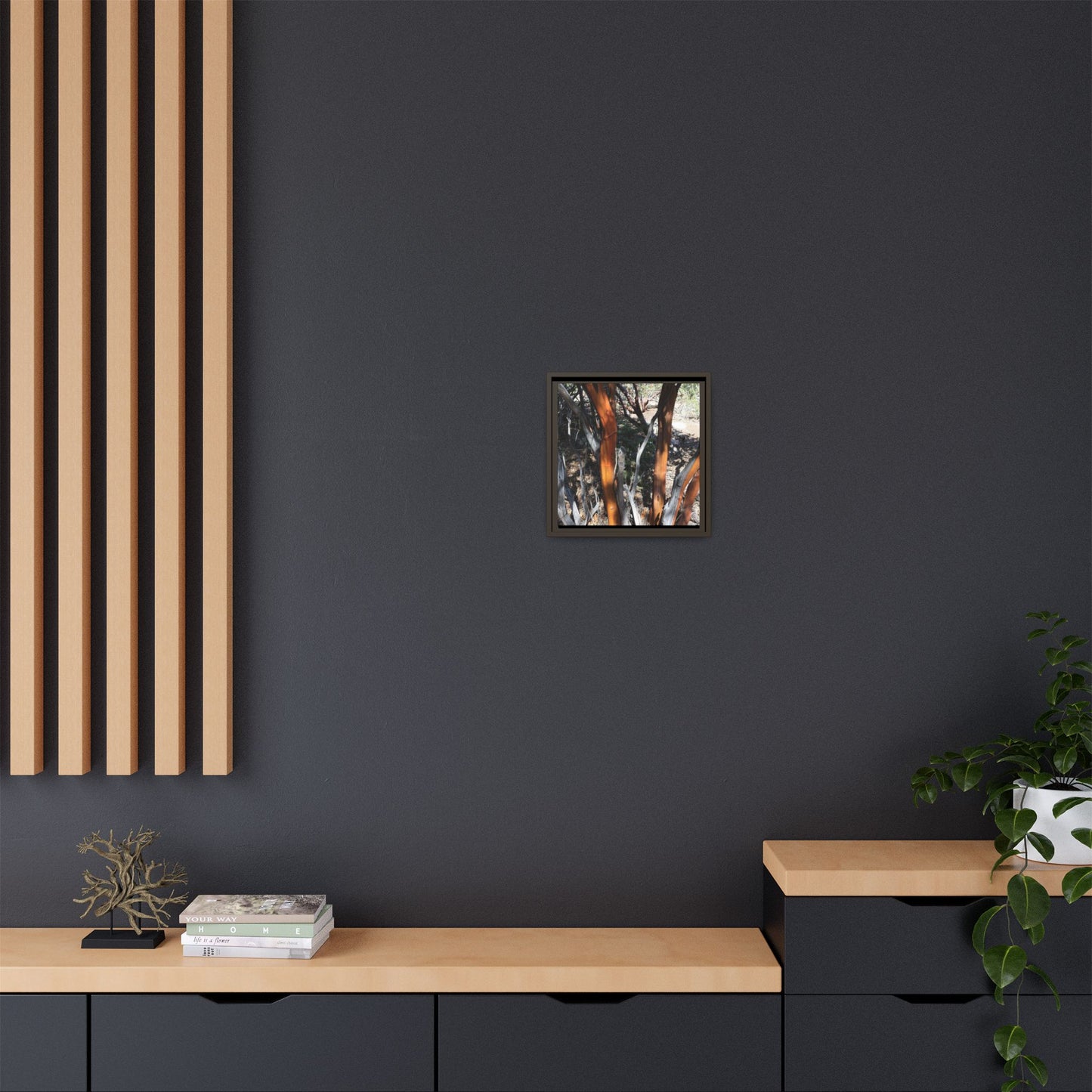 Eucalyptus Grove - Unique Stretched Canvas Wall Art